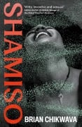 Cover-Bild zum Titel 'Shamiso' von 'Brian Chikwava'