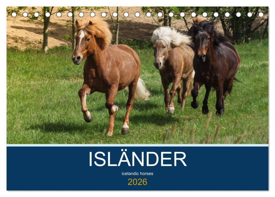 Isländer - icelandic horses (Tischkalender 2026 DIN A5 quer), CALVENDO Monatskalender - Alexandra Hollstein