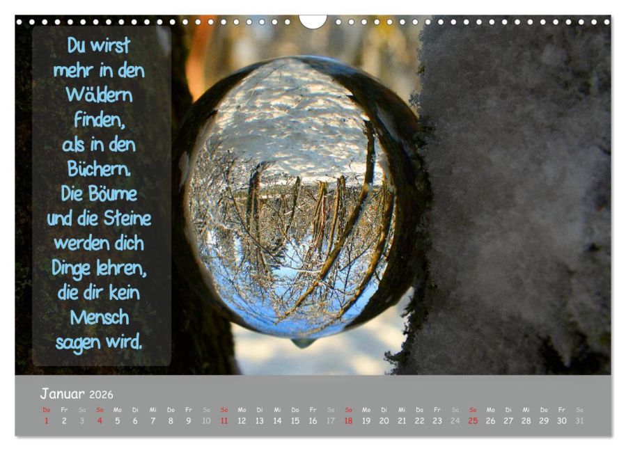 InsideView 6