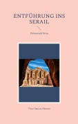 Cover-Bild zum Titel 'Entführung ins Serail' von 'Tina Charcoal Burner'