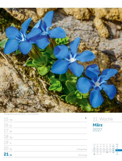 InsideView 15