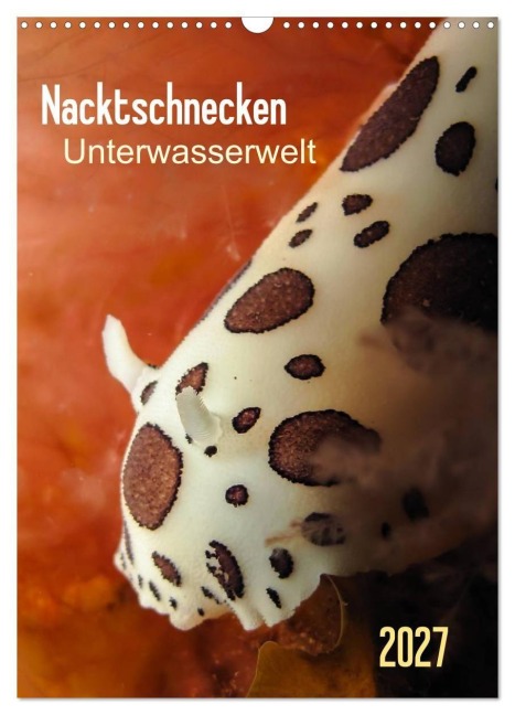 Nacktschnecken - Unterwasserwelt 2027 (Wandkalender 2027 DIN A3 hoch), CALVENDO Monatskalender - Claudia Weber-Gebert