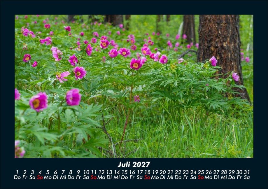 InsideView 11