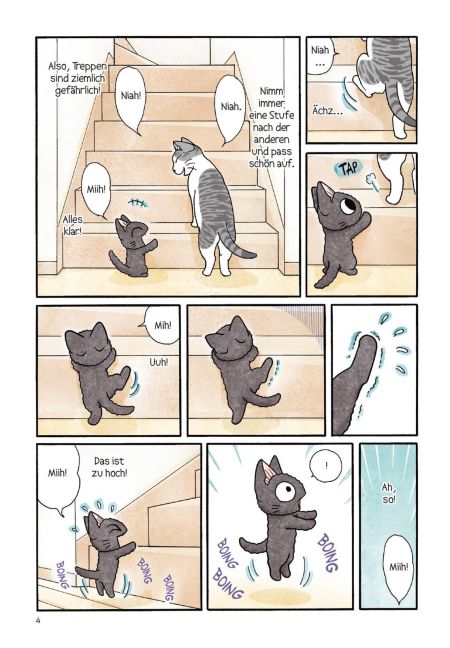InsideView 6