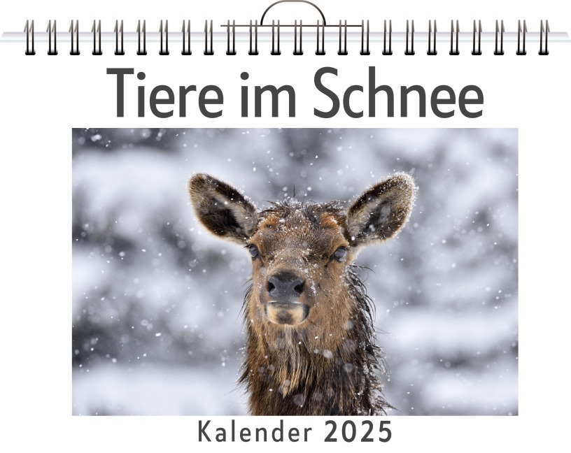 Tiere im Schnee - Lucy Scholz
