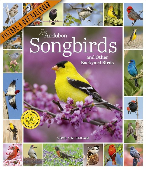Audubon Songbirds and Other Backyard Birds Picture-A-Day(r) Wall Calendar 2025 - National Audubon Society, Workman Calendars