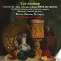 Cover-Bild zum Titel 'Orchesterwerke' von 'Andersson/Levin/Svedlund/Örebro Kammerorchester'