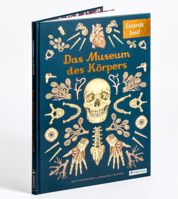 Das Museum des Körpers