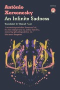 Cover-Bild zum Titel 'An Infinite Sadness' von 'Antônio Xerxenesky'
