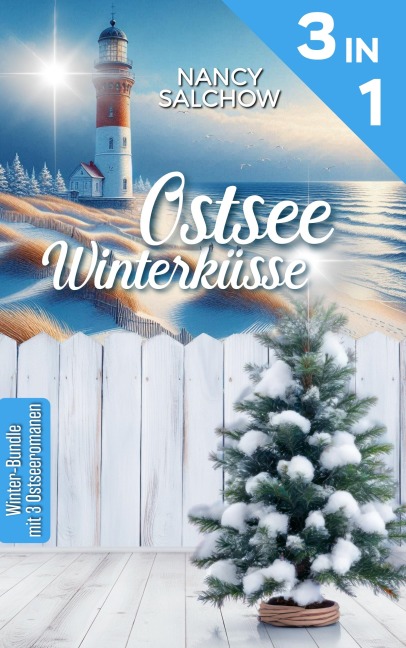 Ostseewinterküsse - Nancy Salchow