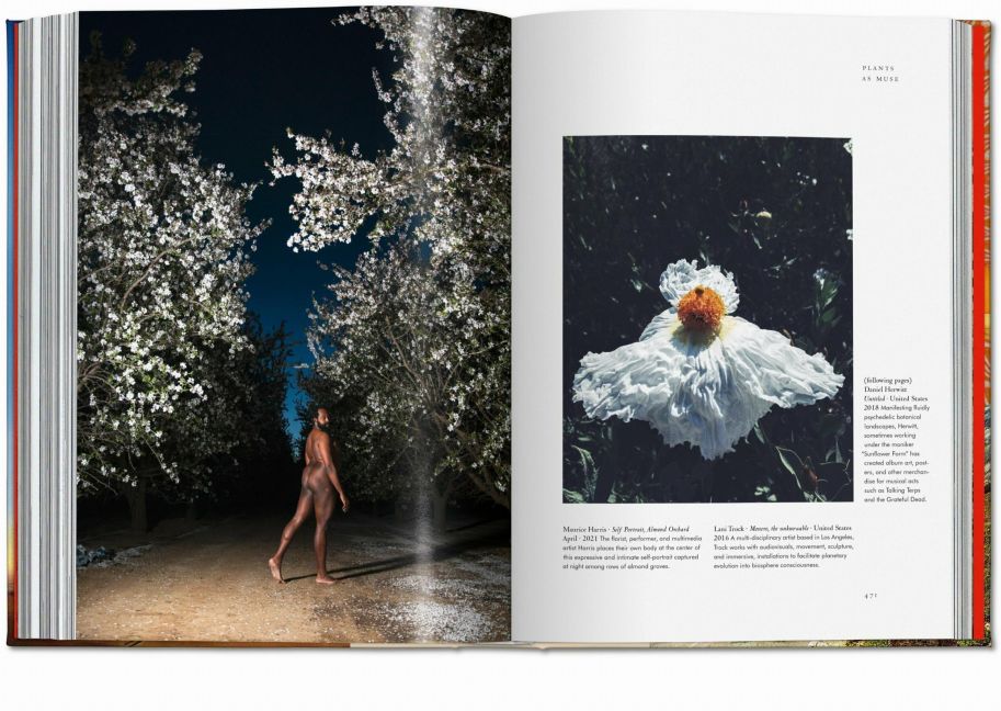 InsideView 13