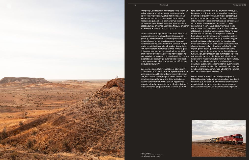 InsideView 5