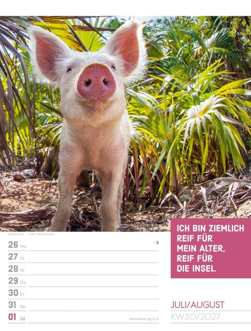 InsideView 34