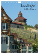 Cover-Bild zum Titel 'Esslingen in Hochform (Wandkalender 2026 DIN A4 hoch), CALVENDO Monatskalender' von 'Philipp Weber'