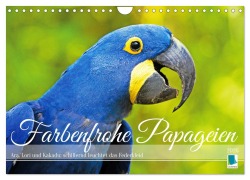 Cover-Bild zum Titel 'Farbenfrohe Papageien (Wandkalender 2026 DIN A4 quer), CALVENDO Monatskalender' von 'Calvendo Calvendo'
