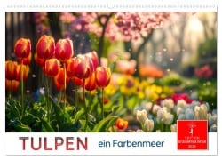 Cover-Bild zum Titel 'Tulpen - ein Farbenmeer (Wandkalender 2026 DIN A2 quer), CALVENDO Monatskalender' von 'Peter Roder'