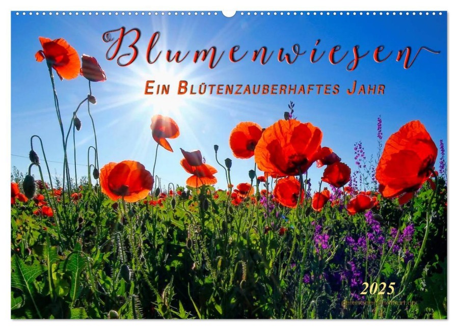 Blumenwiesen ¿ ein blütenzauberhaftes Jahr (Wandkalender 2025 DIN A2 quer), CALVENDO Monatskalender - Peter Roder