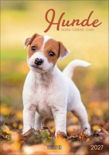 Hunde 2027 - 