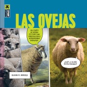 Cover-Bild zum Titel 'Las Ovejas' von 'Quinn M Arnold'