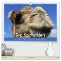 Die Kameliden. Hübsche Kamele, Lamas und Alpakas (hochwertiger Premium Wandkalender 2024 DIN A2 quer), Kunstdruck in Hochglanz - Elisabeth Stanzer