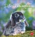 Süße Kaninchen Postkartenkalender 2025 - 