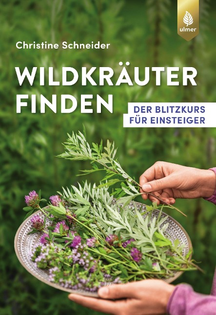 Wildkräuter finden - 