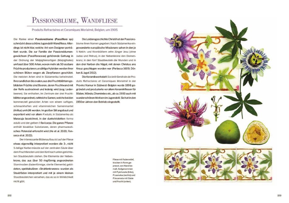 InsideView 4