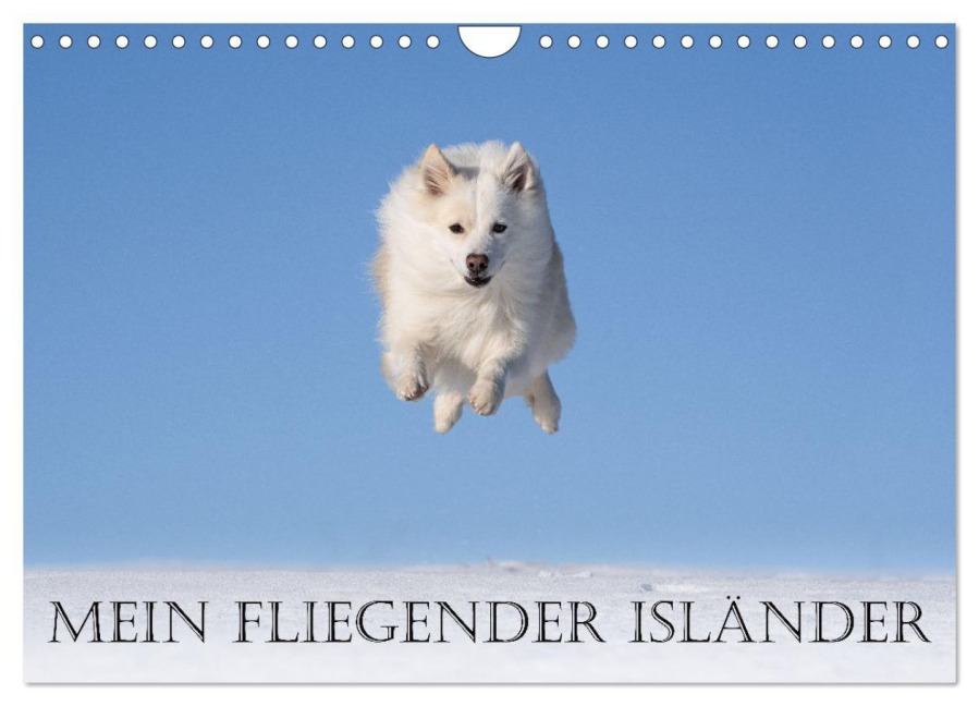 Mein fliegender Isländer (Wandkalender 2026 DIN A4 quer), CALVENDO Monatskalender - Monika Scheurer