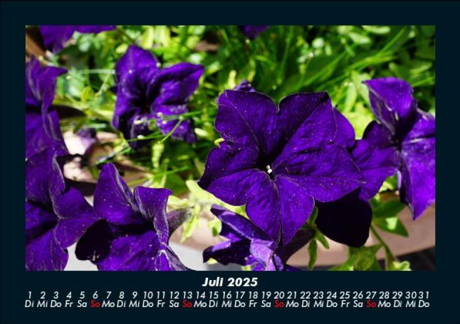 InsideView 11
