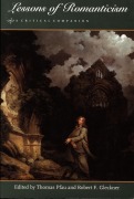Cover-Bild zum Titel 'Lessons of Romanticism' von ''