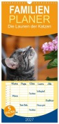 Cover-Bild zum Titel 'Familienplaner 2027 - Die Launen der Katzen 2027 mit 5 Spalten (Wandkalender, 21 x 45 cm) CALVENDO' von 'Anna Kropf'