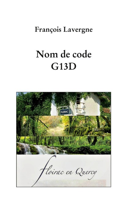 g13d - François Lavergne