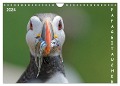 Papageitaucher (Wandkalender 2024 DIN A4 quer), CALVENDO Monatskalender - Gerald Wolf