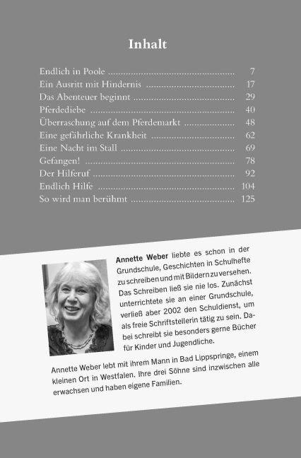 InsideView 3