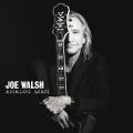 Analog Man - Joe Walsh