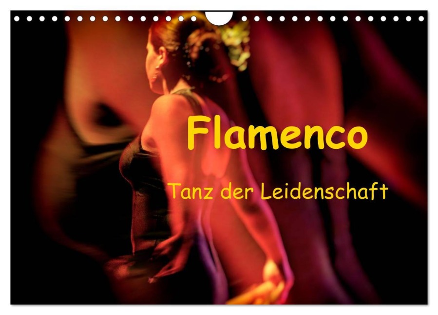 Flamenco - Tanz der Leidenschaft (Wandkalender 2026 DIN A4 quer), CALVENDO Monatskalender - Brigitte Dürr Gabi Hampe