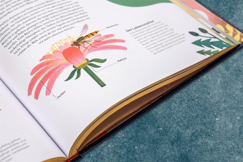 InsideView 14