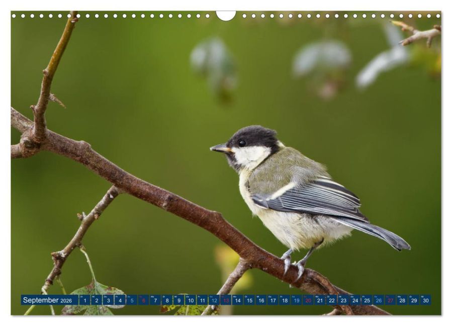 InsideView 14