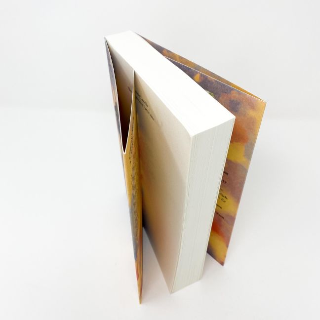 InsideView 4