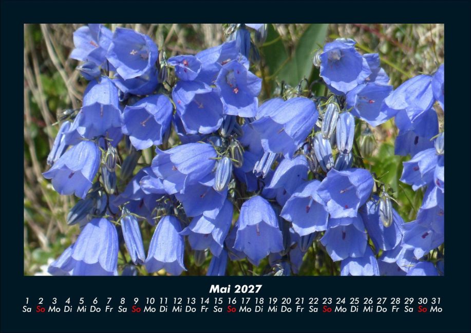 InsideView 9