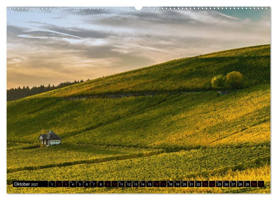 InsideView 2