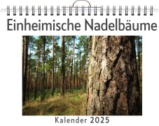 Cover-Bild zum Titel 'Einheimische Nadelbäume' von 'Leon Frank'