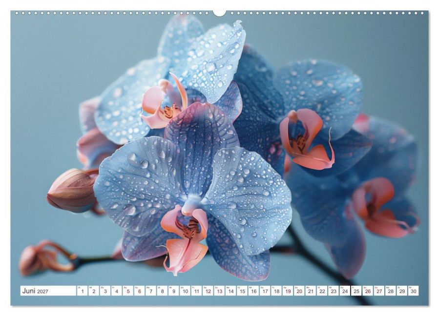 InsideView 11