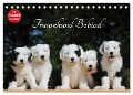 Traumhund Bobtail (Tischkalender 2024 DIN A5 quer), CALVENDO Monatskalender - Sigrid Starick