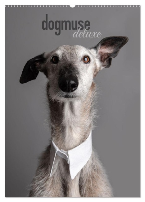 dogmuse deluxe (Wandkalender 2026 DIN A2 hoch), CALVENDO Monatskalender - Tanja Noel