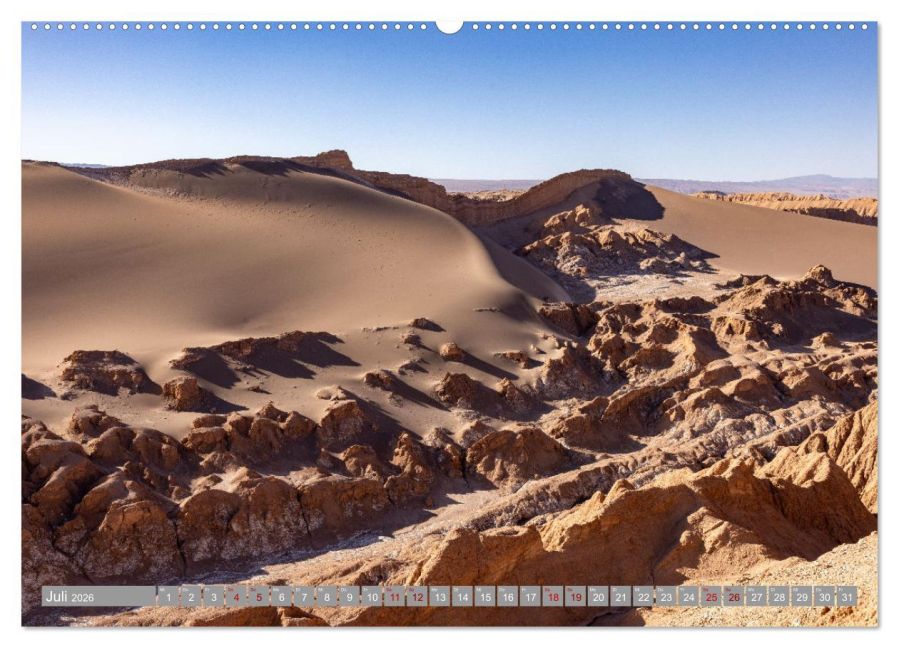 InsideView 12