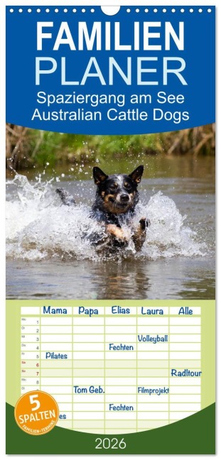 Familienplaner 2026 - Spaziergang am See Australian Cattle Dogs mit 5 Spalten (Wandkalender, 21 x 45 cm) CALVENDO - Fotodesign Verena Scholze