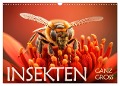 Insekten ganz gross (Wandkalender 2024 DIN A3 quer), CALVENDO Monatskalender - Daniel Rohr