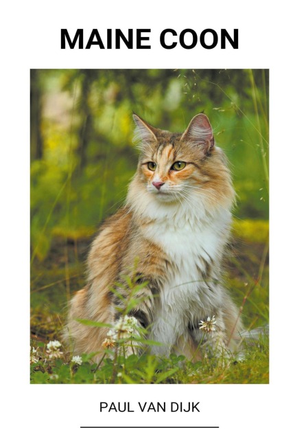 Maine Coon - Paul van Dijk