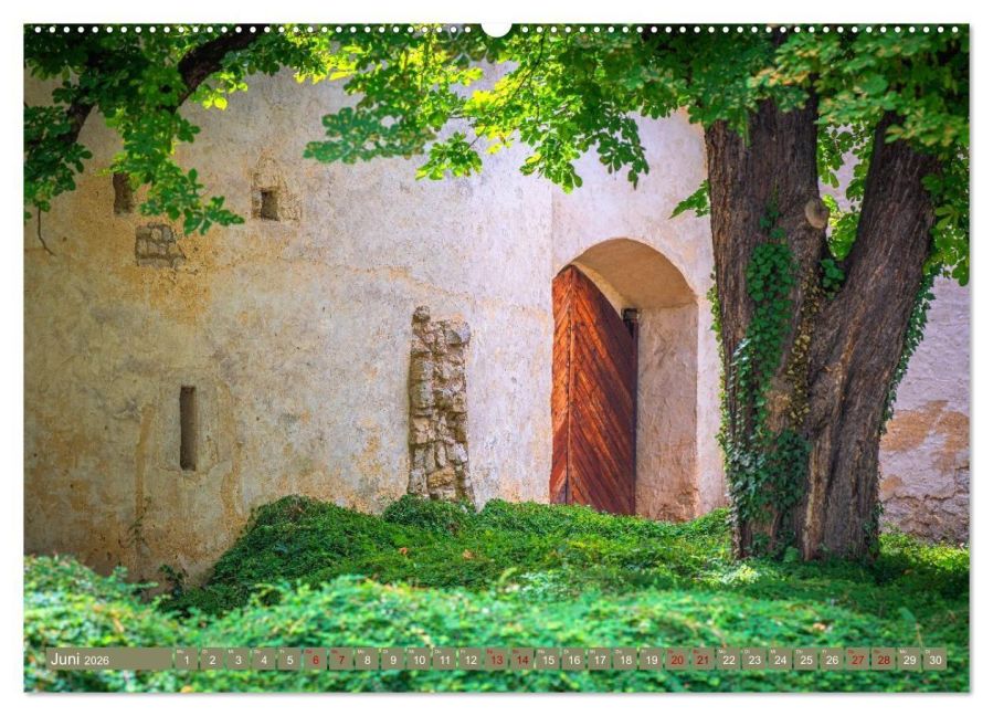 InsideView 10